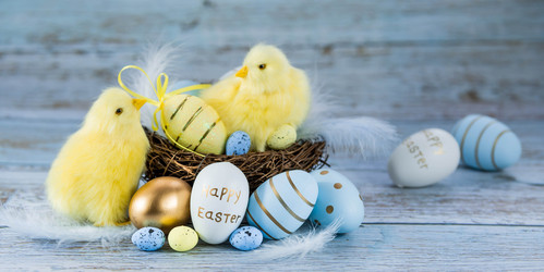 Similar image 21329923