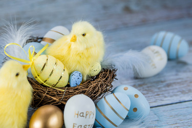 Similar image 21329924