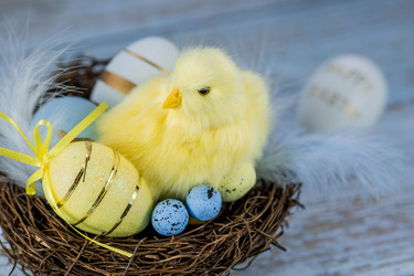 Similar image 21329927