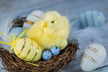 Similar image 21329928