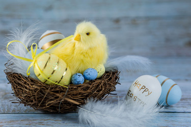 Similar image 21329929