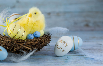 Similar image 21329930