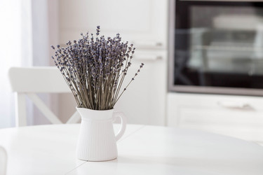 Similar image 21326632