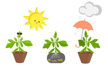 Similar image 21303653