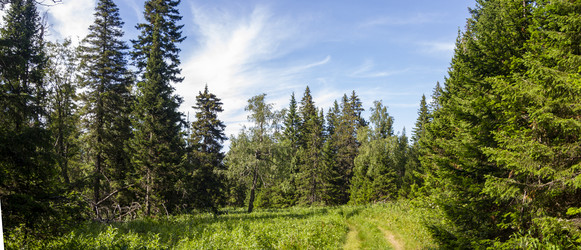 Similar image 21339759