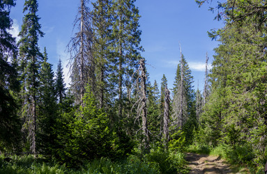 Similar image 21339760