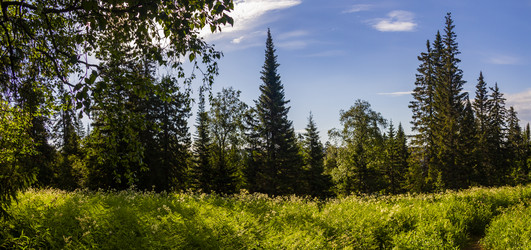 Similar image 21339761