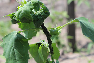 Similar image 21317288