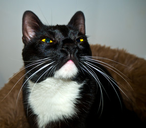 Similar image 21293577