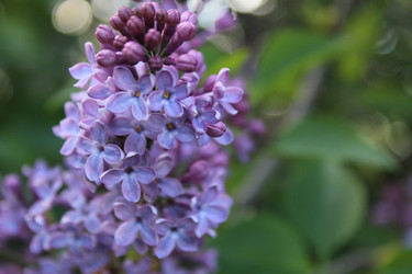 Similar image 21317138