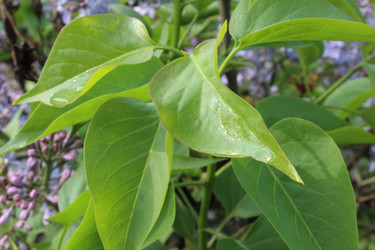 Similar image 21317139