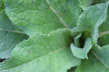 Similar image 21317140