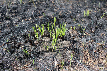 Similar image 21317301