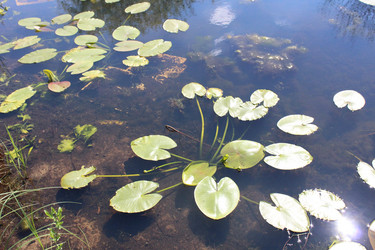 Similar image 21317302