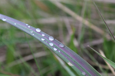 Similar image 21317303