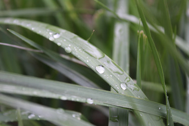 Similar image 21317304