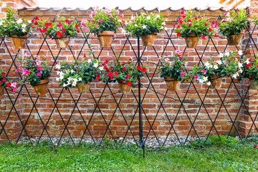 Similar image 21312792