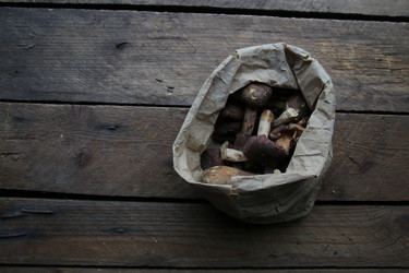 Similar image 21295346