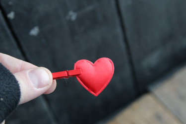 Similar image 21309004