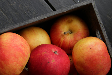 Similar image 21313876