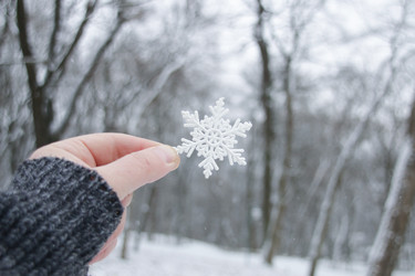 Similar image 21313877