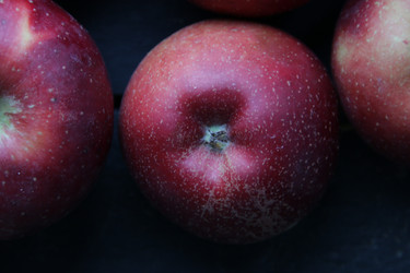 Similar image 21313880