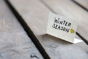 Similar image 21313883