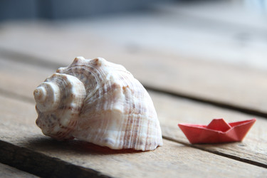 Similar image 21313952