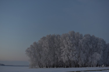 Similar image 21339429