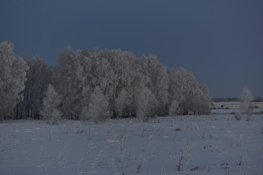 Similar image 21339430