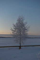 Similar image 21339431