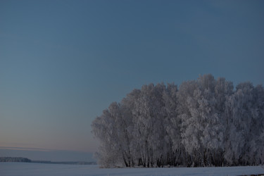 Similar image 21339432