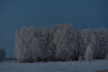 Similar image 21339433