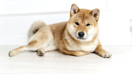 Similar image 21337738