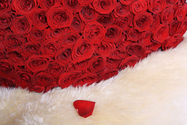 Similar image 21319818