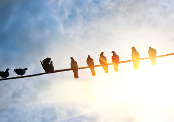 Similar image 21330554