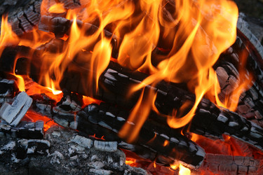 Similar image 21318997