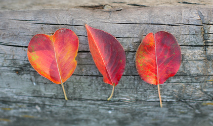 Similar image 21319328