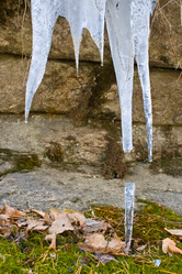 Similar image 21319819