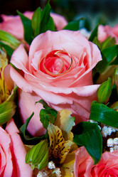 Similar image 21319022