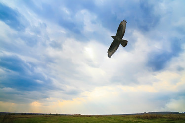 Similar image 21315940