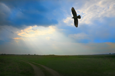 Similar image 21319049