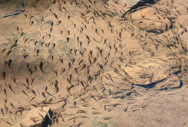 Similar image 21319053