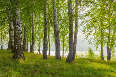 Similar image 21319358