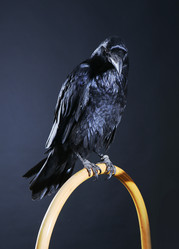 Similar image 21315947