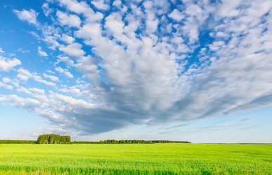 Similar image 21341383