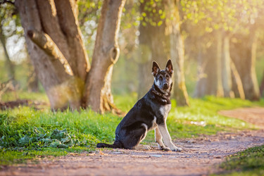 Similar image 21297112