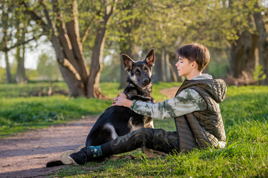 Similar image 21297113