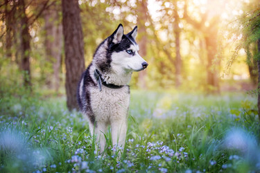 Similar image 21297141