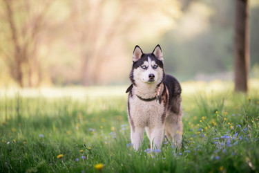 Similar image 21297153